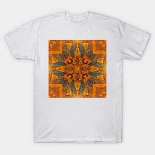 RUST FANTASY PATTERNS and ART T-Shirt